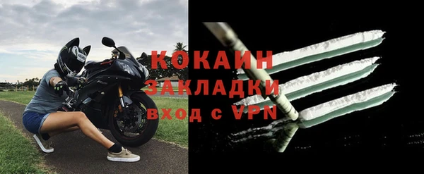твердый Кулебаки