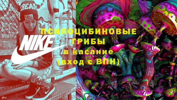твердый Кулебаки